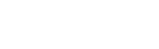 Smart Energy Investment